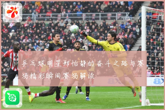 乒乓球明星郑怡静的奋斗之路与赛场精彩瞬间赛场解读