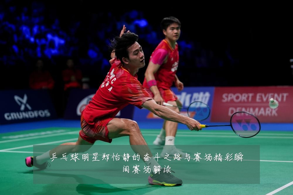 乒乓球明星郑怡静的奋斗之路与赛场精彩瞬间赛场解读