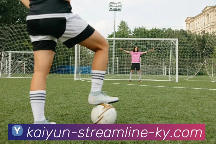 开云平台生态图