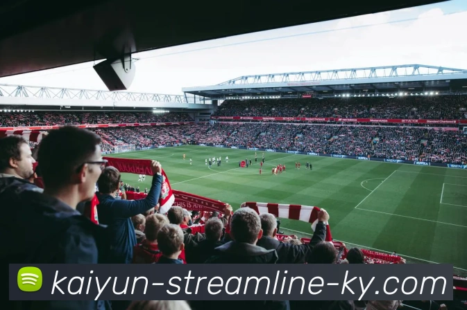 开云体育：全面解析其在全球体育产业中的崛起与影响力